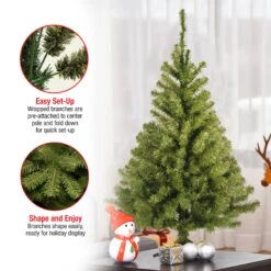 3 Ft. Kincaid Spruce Tree 10 3 Ft. Kincaid Spruce Tree -Christmas Trees Sales KCDR 30 1 Features