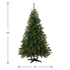 6 Ft. Kincaid Spruce Tree -Christmas Trees Sales KCDR 60 Silo Dim