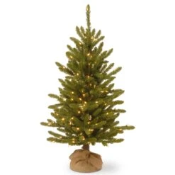 4 Ft. Pre-Lit Kensington Fir Tree In A Burlap Sack With Clear Lights