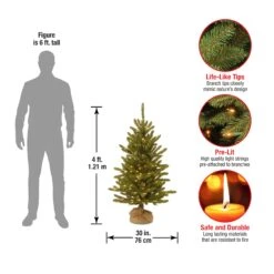 4 Ft. Pre-Lit Kensington Fir Tree In A Burlap Sack With Clear Lights -Christmas Trees Sales KNT3 306 40 Dim