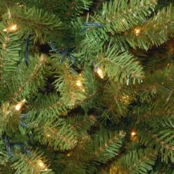 12 Ft. Pre-Lit Kingswood Fir Pencil Slim Tree With Clear Lights 19 12 Ft. Pre-Lit Kingswood Fir Pencil Slim Tree With Clear Lights -Christmas Trees Sales KW7 300 120 3 e9334c4c 7dc3 4bc4 ad87 8bf7953fe6de