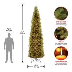 12 Ft. Pre-Lit Kingswood Fir Pencil Slim Tree With Clear Lights 20 12 Ft. Pre-Lit Kingswood Fir Pencil Slim Tree With Clear Lights -Christmas Trees Sales KW7 300 120 Dim