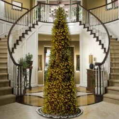 14 Ft. Pre-Lit Kingswood Fir Pencil Tree With Clear Lights 24 14 Ft. Pre-Lit Kingswood Fir Pencil Tree With Clear Lights -Christmas Trees Sales KW7 300 140 2