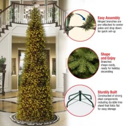 14 Ft. Pre-Lit Kingswood Fir Pencil Tree With Clear Lights 19 14 Ft. Pre-Lit Kingswood Fir Pencil Tree With Clear Lights -Christmas Trees Sales KW7 300 140 Features c3eef467 43e4 403c a4d3 c5b2fcdc88bd