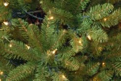 9 Ft. Pre-Lit Kingswood Fir Pencil Tree With Clear Lights 13 9 Ft. Pre-Lit Kingswood Fir Pencil Tree With Clear Lights -Christmas Trees Sales KW7 300 90 3 59418aa6 5917 4f84 a497 d4d133c0f525