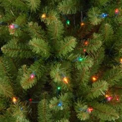 7.5 Ft. Pre-Lit Kingswood Fir Pencil Tree With Multicolor Lights -Christmas Trees Sales KW7 313 75 3