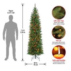 7.5 Ft. Pre-Lit Kingswood Fir Pencil Tree With Multicolor Lights -Christmas Trees Sales KW7 313 75 Dim 253123a7 5ba2 4c90 a738 d0623f4a8aaf