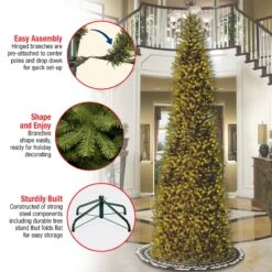 10 Ft. Kingswood Fir Pencil Slim Tree -Christmas Trees Sales KW7 500 100 Features
