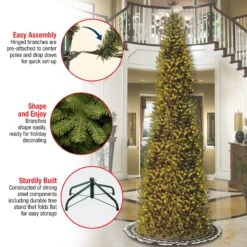 10 Ft. Kingswood Fir Pencil Slim Tree -Christmas Trees Sales KW7 500 100 Features 4abf6f57 8e4a 4eaa bb20 d7f9787de8b4