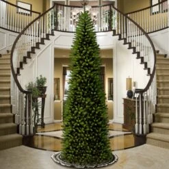 14 Ft. Kingswood Fir Pencil Slim Tree -Christmas Trees Sales KW7 500 140 2