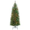 4.5 Ft. Pre-Lit Kingswood Fir Pencil Tree With Multicolor Lights