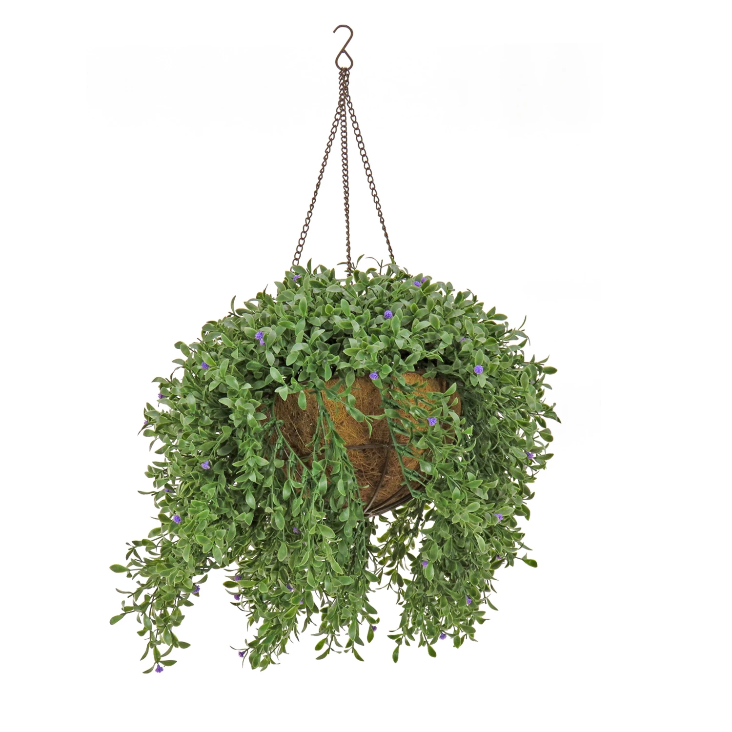 18 In. Spring Argentea Hanging Plant With Purple Flowers 1 18 In. Spring Argentea Hanging Plant With Purple Flowers