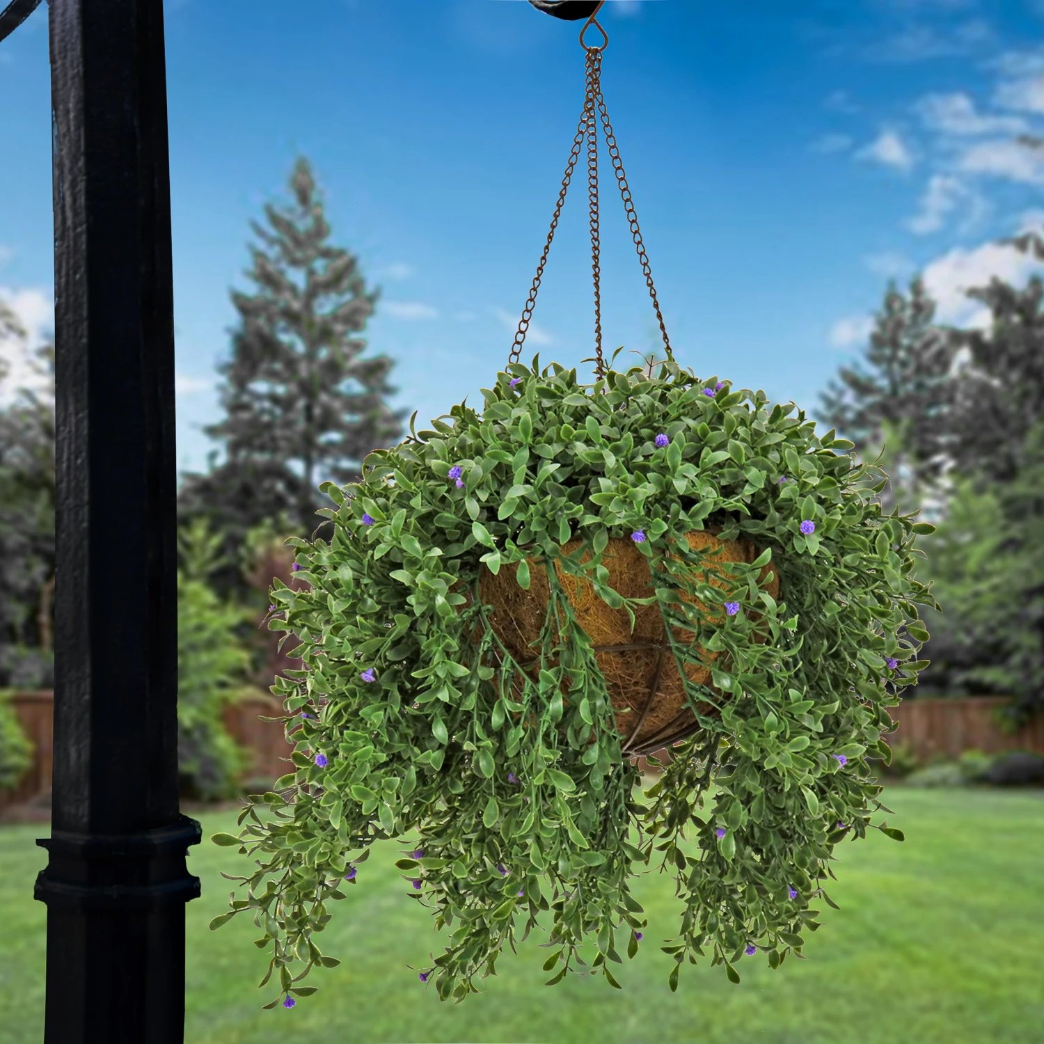 18 In. Spring Argentea Hanging Plant With Purple Flowers 2 18 In. Spring Argentea Hanging Plant With Purple Flowers - Image 2