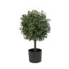 2 Ft. Pre-Lit Boxwood Single Ball Topiary In Black Nursery Pot With Clear Lights