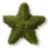36 In. Juniper Star Wreath