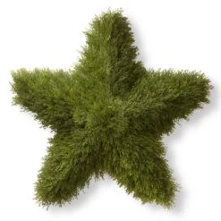 36 In. Juniper Star Wreath