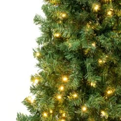 6 Ft. Pre-Lit Linden Spruce Tree With Warm White LED Lights 6 6 Ft. Pre-Lit Linden Spruce Tree With Warm White LED Lights -Christmas Trees Sales LIN8 300L 60 3