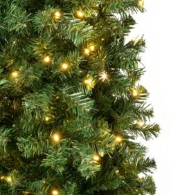 6 Ft. Pre-Lit Linden Spruce Slim Tree With Warm White LED Lights 6 6 Ft. Pre-Lit Linden Spruce Slim Tree With Warm White LED Lights -Christmas Trees Sales LIN8 304L 60 3
