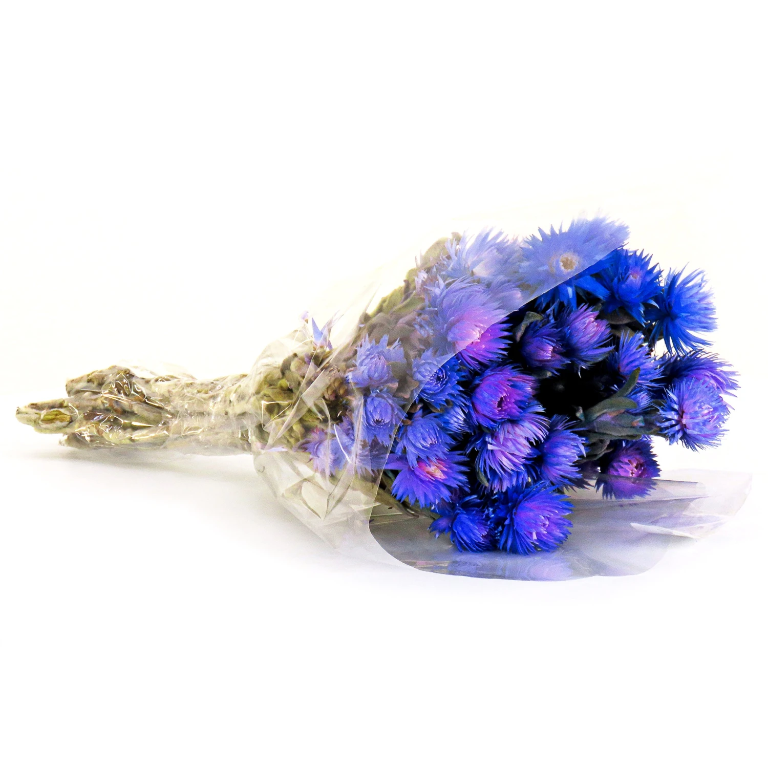 16 In. Spring Dried Blue Capeblumen Flowers Bouquet 1 16 In. Spring Dried Blue Capeblumen Flowers Bouquet