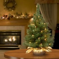 2 Ft. Pre-Lit Majestic Fir Tree With Clear Lights, Gold Base 5 2 Ft. Pre-Lit Majestic Fir Tree With Clear Lights, Gold Base -Christmas Trees Sales MJ3 24GDLO 1 2