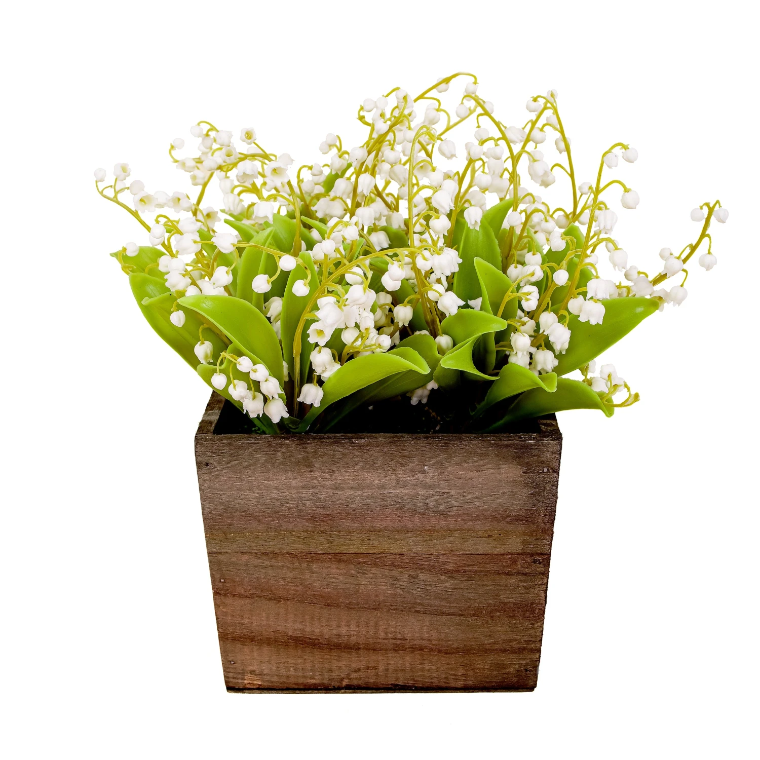 10 In. Spring White Lily-of-the-Valley Flowers In Wood Box 1 10 In. Spring White Lily-of-the-Valley Flowers In Wood Box
