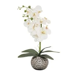 21 In. Spring White Orchid In Silver Smooth Ceramic Pot