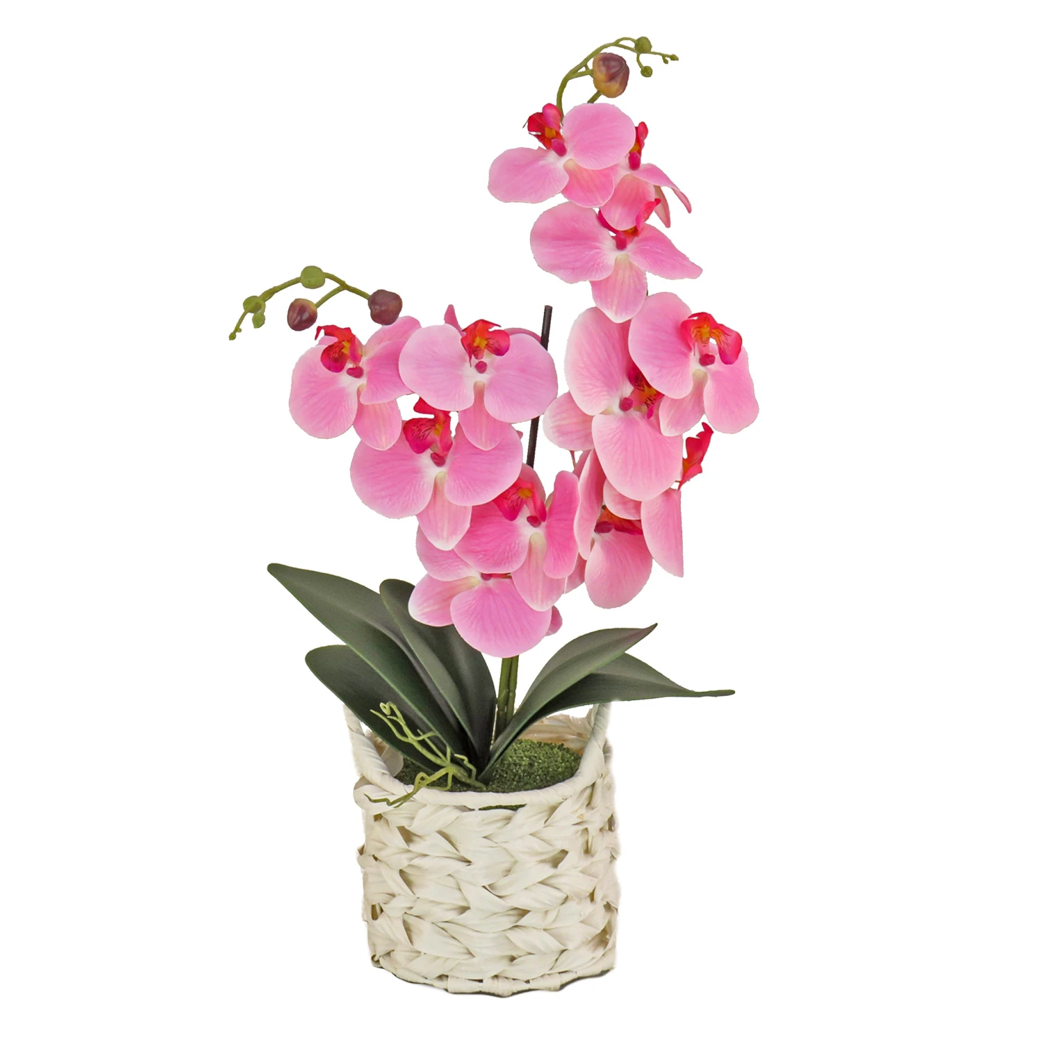 21 In. Spring Pink Orchid In White Basket 1 21 In. Spring Pink Orchid In White Basket