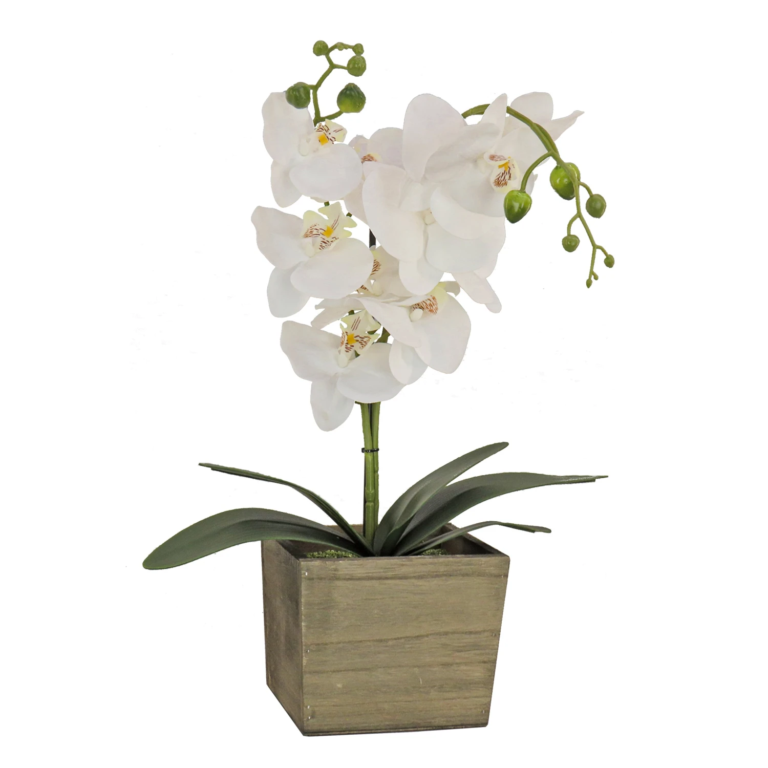 21 In. Spring White Orchid Flower In Wood Box 1 21 In. Spring White Orchid Flower In Wood Box