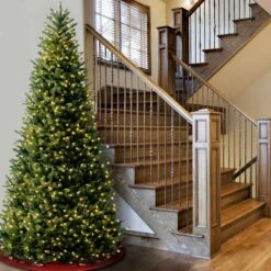 10 Ft. Pre-Lit Natural Fraser Slim Fir Tree With Clear Lights 9 10 Ft. Pre-Lit Natural Fraser Slim Fir Tree With Clear Lights -Christmas Trees Sales NAFFSLH1 100LO 2