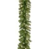 9 Ft. Pre-Lit Norwood Fir Garland With Warm White LED Lights