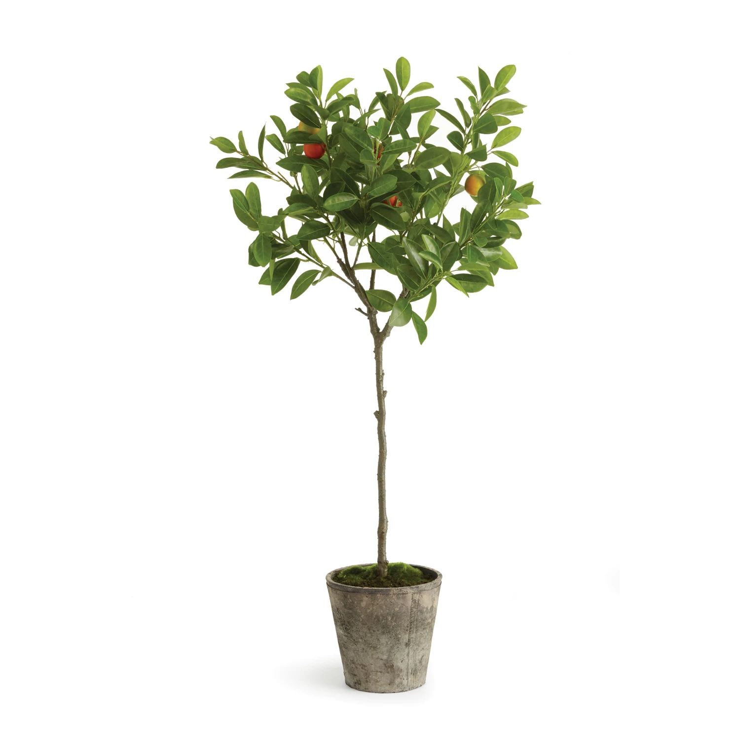 41 In. Potted Orange Topiary Tree 1 41 In. Potted Orange Topiary Tree