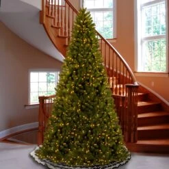 16 Ft. Pre-Lit North Valley Spruce Tree With Clear Lights 5 16 Ft. Pre-Lit North Valley Spruce Tree With Clear Lights -Christmas Trees Sales NRV7 300 160 2