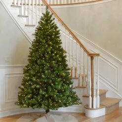 7.5 Ft. Pre-Lit North Valley Spruce Tree With Clear Lights 5 7.5 Ft. Pre-Lit North Valley Spruce Tree With Clear Lights -Christmas Trees Sales NRV7 300 75 2