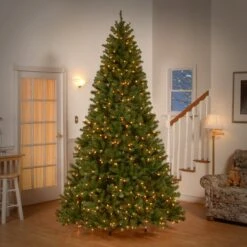9 Ft. Pre-Lit North Valley Spruce Tree With Clear Lights -Christmas Trees Sales NRV7 300 90 2