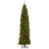 10 Ft. Pre-Lit North Valley Spruce Pencil Slim Tree With Clear Lights