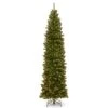 9 Ft. Pre-Lit North Valley Spruce Pencil Slim Tree With Clear Lights