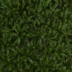 16 Ft. North Valley Spruce Tree 7 16 Ft. North Valley Spruce Tree -Christmas Trees Sales NRV7 500 160 Silo C1