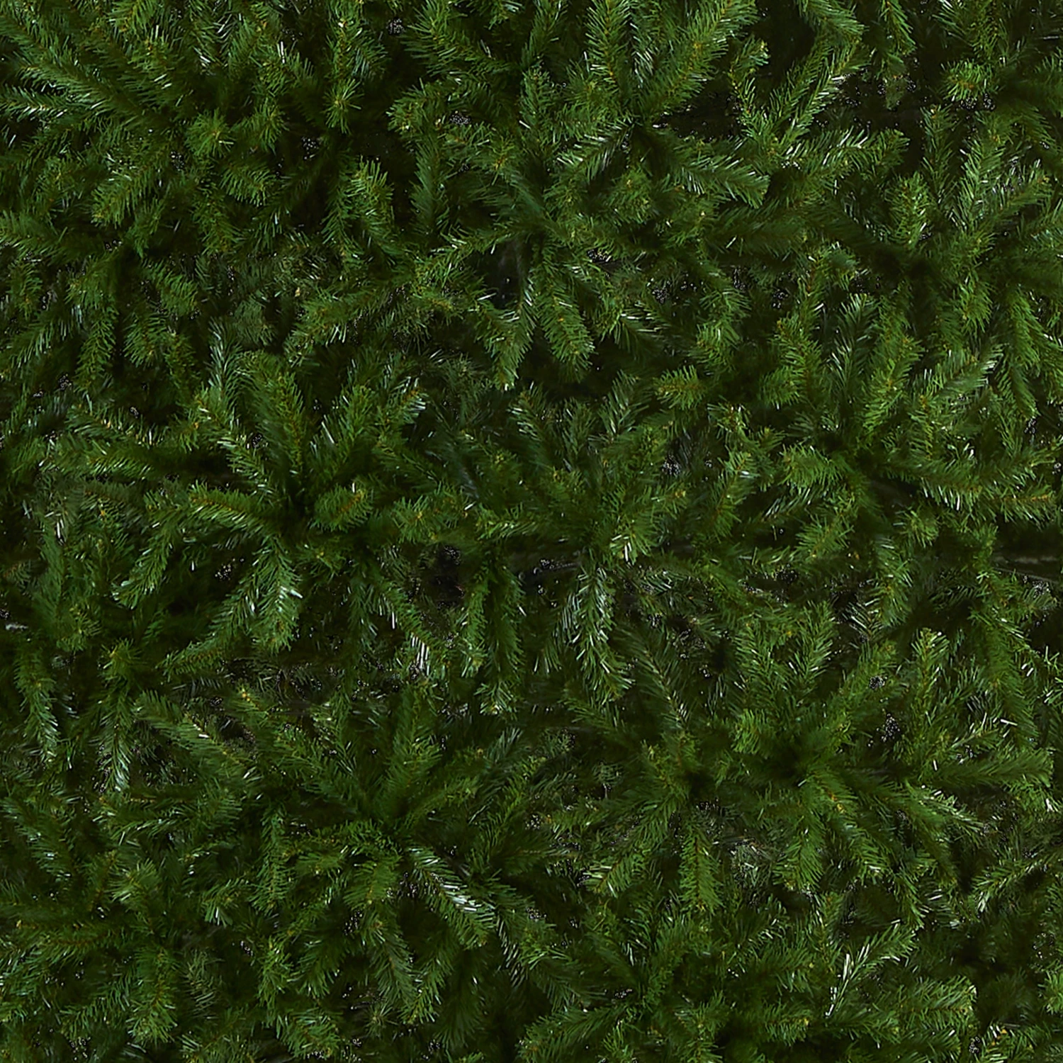 16 Ft. North Valley Spruce Tree 3 16 Ft. North Valley Spruce Tree - Image 3