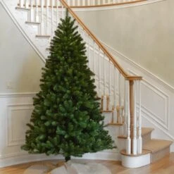 7 Ft. North Valley Spruce Tree 5 7 Ft. North Valley Spruce Tree -Christmas Trees Sales NRV7 500 70 2