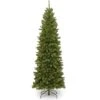 6 Ft. North Valley Spruce Pencil Slim Tree