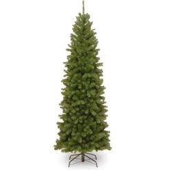 6.5 Ft. North Valley Spruce Pencil Slim Tree
