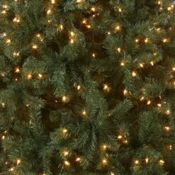 6.5 Ft. Pre-Lit North Valley Spruce Blue Tree With Clear Lights 10 6.5 Ft. Pre-Lit North Valley Spruce Blue Tree With Clear Lights -Christmas Trees Sales NRVB7 306 65 Silo C1