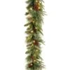 9 Ft. Pre-Lit Colonial Fir Garland With Dual Color LED Lights