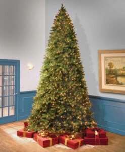 12 Ft. Pre-Lit Downswept Douglas Fir Tree With Clear Lights 13 12 Ft. Pre-Lit Downswept Douglas Fir Tree With Clear Lights -Christmas Trees Sales PEDD1 312 120 2