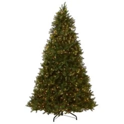 12 Ft. Pre-Lit Downswept Douglas Fir Tree With Clear Lights 11 12 Ft. Pre-Lit Downswept Douglas Fir Tree With Clear Lights -Christmas Trees Sales PEDD1 312 120 Silo