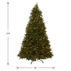 12 Ft. Pre-Lit Downswept Douglas Fir Tree With Clear Lights 12 12 Ft. Pre-Lit Downswept Douglas Fir Tree With Clear Lights -Christmas Trees Sales PEDD1 312 120 Silo Dim