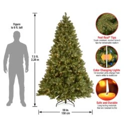 7.5 Ft. Pre-Lit Downswept Douglas Fir Tree With 750 Dual Color LED Lights 24 7.5 Ft. Pre-Lit Downswept Douglas Fir Tree With 750 Dual Color LED Lights -Christmas Trees Sales PEDD1 D12 75 Dim 6e1df449 9427 41f4 b812 ac6986dedf83