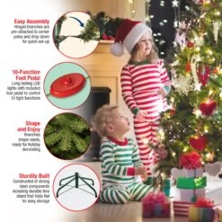 12 Ft. Pre-Lit Downswept Douglas Fir Pencil Slim Tree With Dual Color LED Lights 21 12 Ft. Pre-Lit Downswept Douglas Fir Pencil Slim Tree With Dual Color LED Lights -Christmas Trees Sales PEDD4 392D 120 Features