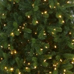 12 Ft. Pre-Lit Downswept Douglas Fir Pencil Slim Tree With Dual Color LED Lights 18 12 Ft. Pre-Lit Downswept Douglas Fir Pencil Slim Tree With Dual Color LED Lights -Christmas Trees Sales PEDD4 392D 120 Silo C1