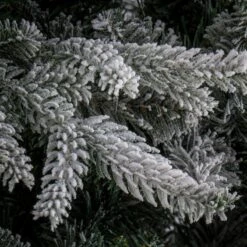 7.5 Ft. Holliston Tree 7 7.5 Ft. Holliston Tree -Christmas Trees Sales PEHO2 500 75 3